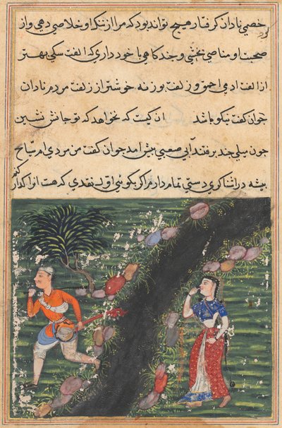 Bir Papağan Masalları Tuti-nama