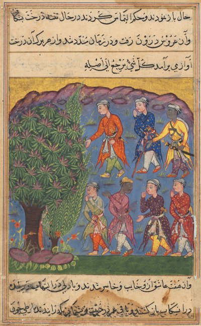 Bir Papağan Masalları Tuti-nama