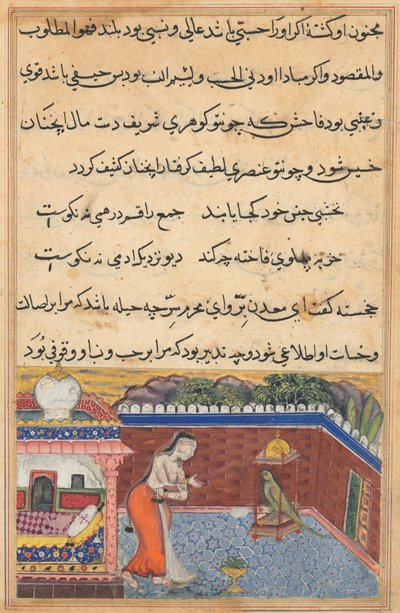 Bir Papağan Masalları Tuti-nama