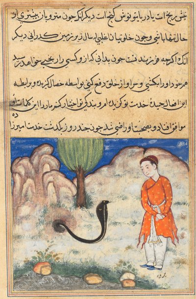 Bir Papağan Masalları Tuti-nama