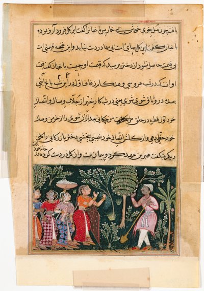 Bir Papağan Masalları Tuti-nama