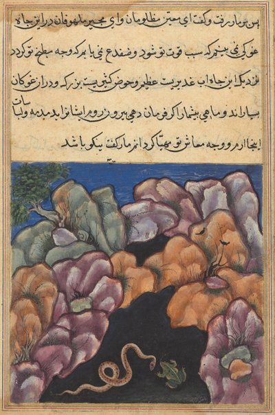 Bir Papağan Masalları Tuti-nama