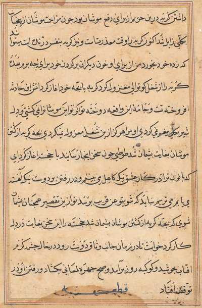 Bir Papağan Tuti-nama Masallarından sayfa: metin sayfası, c. 1560. by Unbekannt