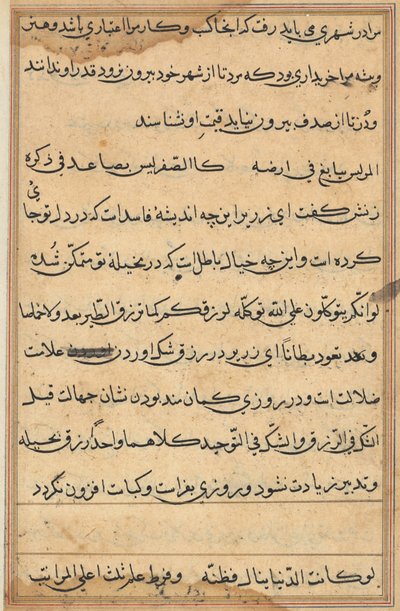 Bir Papağan Tuti-nama Masallarından sayfa: metin sayfası, c. 1560. by Unbekannt