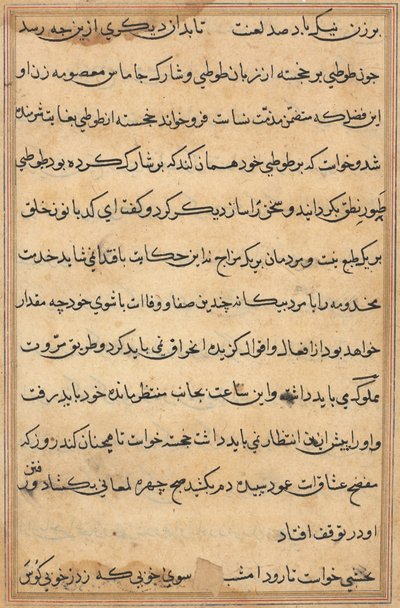 Bir Papağan Tuti-nama Masallarından sayfa: metin sayfası, c. 1560. by Unbekannt