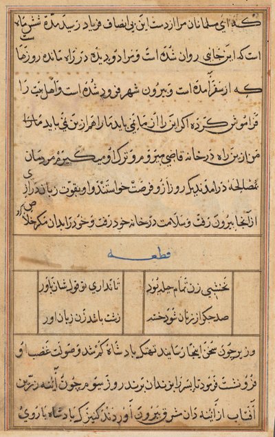 Bir Papağan Tuti-nama Masallarından sayfa: metin sayfası, c. 1560. by Unbekannt