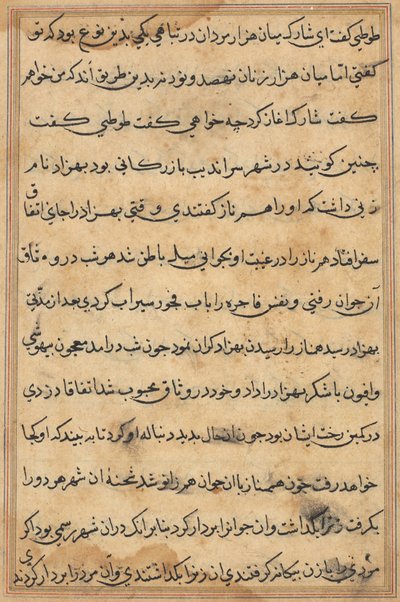 Bir Papağan Tuti-nama Masallarından sayfa: metin sayfası, c. 1560. by Unbekannt