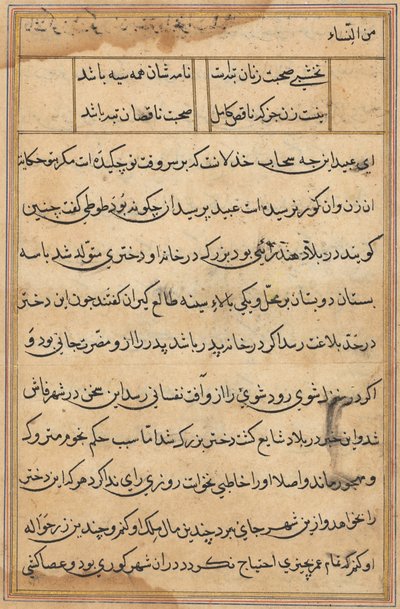 Bir Papağan Tuti-nama Masallarından sayfa: metin sayfası, c. 1560. by Unbekannt