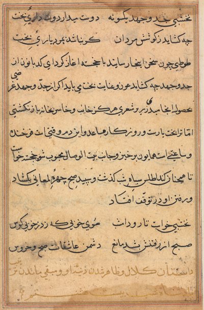 Bir Papağan Tuti-nama Masallarından sayfa: metin sayfası, c. 1560. by Unbekannt