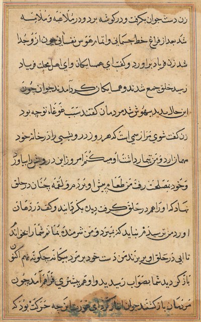 Bir Papağan Tuti-nama Masallarından sayfa: metin sayfası, c. 1560. by Unbekannt