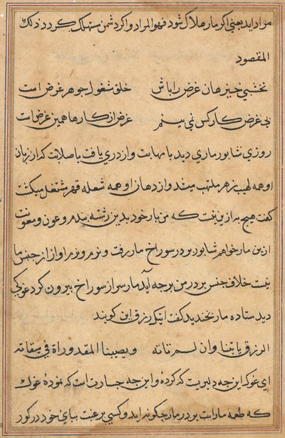 Bir Papağan Tuti-nama Masallarından sayfa: metin sayfası, c. 1560. by Unbekannt