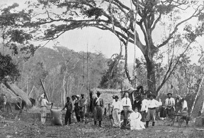 Paraguay çay toplama, Paraguay, 1911 by Unbekannt