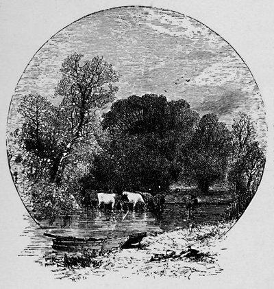 Barış ve Bolluk, 1883 by Unbekannt