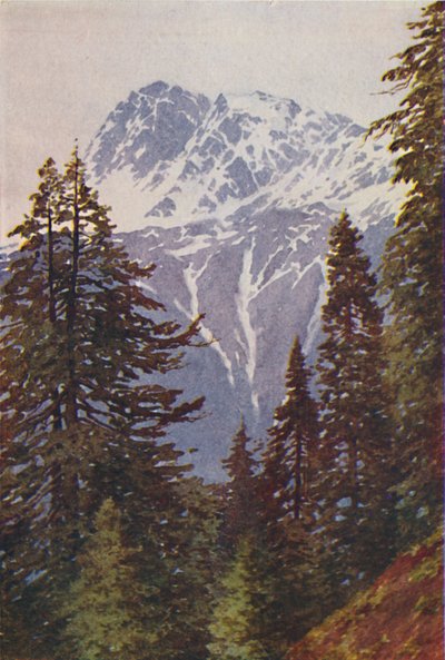 Himalayalar
