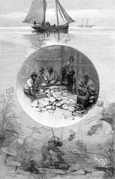 Pearl Fishery, Torres Boğazı, Avustralya, 1886 by Unbekannt