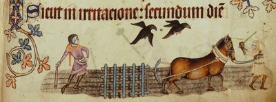 Luttrell Psalter