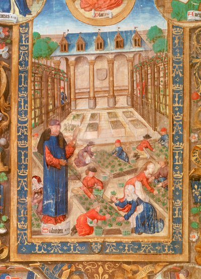 İlaç bahçesi, 15. yüzyıl by Unbekannt