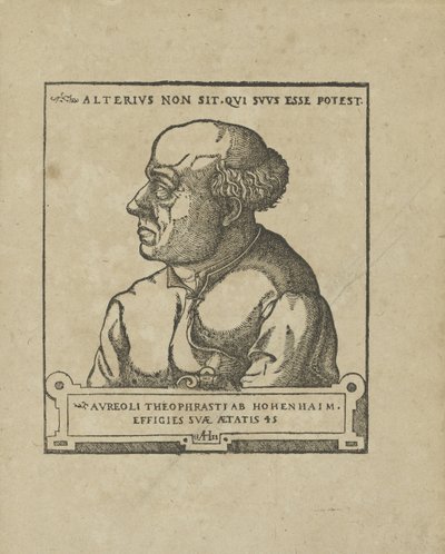 Philippus Theophrastus Aureolus Bombastus von Hohenheim Paracelsus, yaklaşık 1538. by Unbekannt