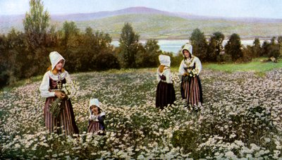 İsveç, Leksand yakınlarındaki bir çayırda çiçek toplamak, c1923 by Unbekannt