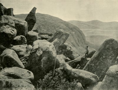 Pinnacle & Organ Pipes, Wellington Dağı, 1901. by Unbekannt