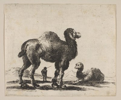 Levha 17: Çeşitli hayvanlardan develer Diversi animali, 1641