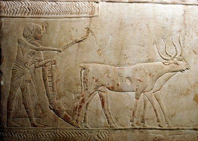 18. Hanedan, MÖ 1332-1323 Mısır Stelinden Çiftlik Sürmek by Unbekannt
