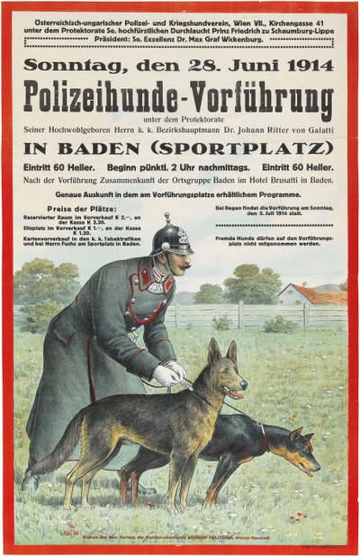 Baden'de Polis Köpeği Gösterisi, 1914. by Unbekannt