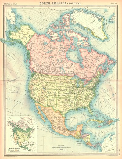 Kuzey Amerika