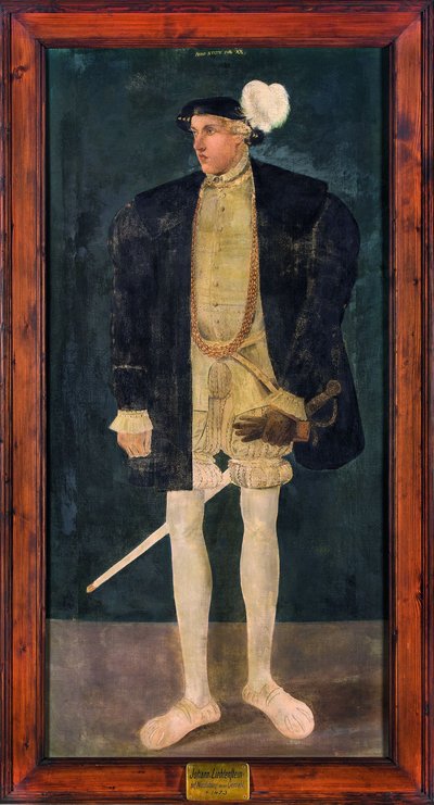 Lihtenştaynlı Johann V Hanns