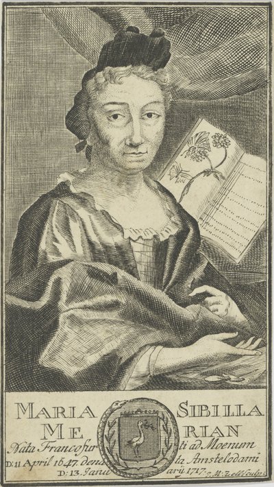 Maria Sibylla Merian