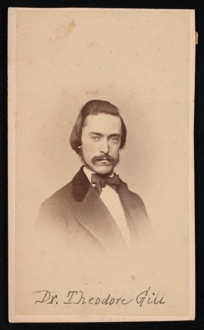Theodore Nicholas Gill