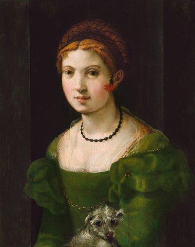 Genç Bir Kadının Portresi, 15301540. by Unbekannt
