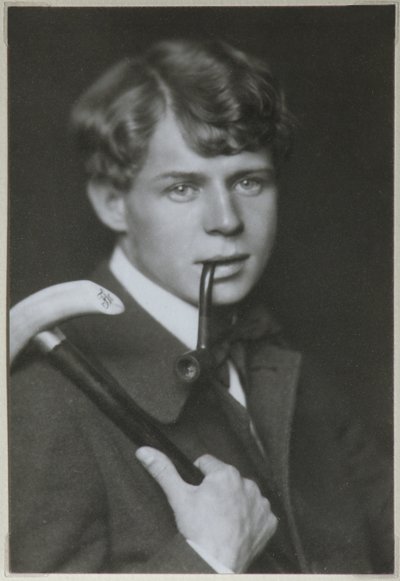 Şair Sergei Yesenin Portresi 1895-1925, 1919 by Unbekannt