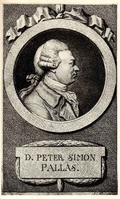 Zoolog ve botanikçi Peter Simon Pallas