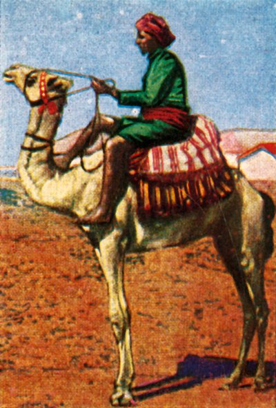 Deve tarafından teslim edilen posta, Arabistan, c1928. by Unbekannt