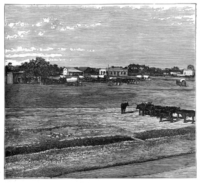 Potchefstroom, Transvaal, Güney Afrika, c1890 by Unbekannt