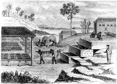 İndigo hazırlanıyor, Santo Domingo, 1873 by Unbekannt