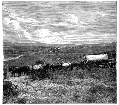 Pretoria, Güney Afrika, c1890 by Unbekannt