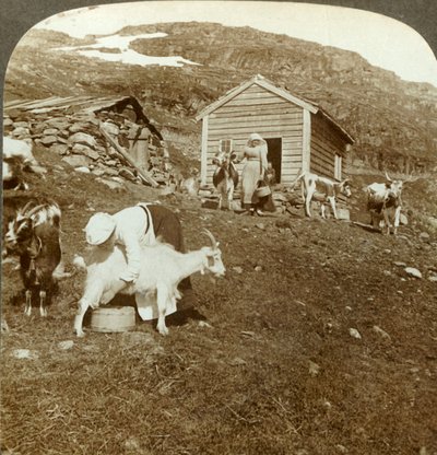 Haukeli Mts