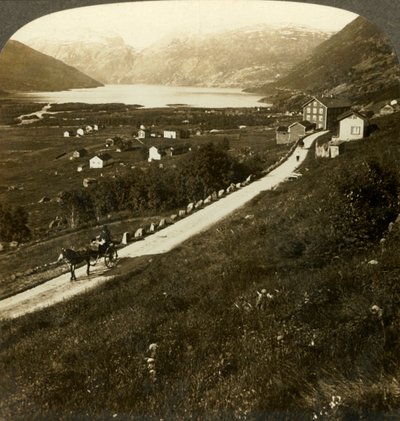 Dağlarla çevrili güzel bir köy ve Roldal gölü, engebeli Batı Norveç