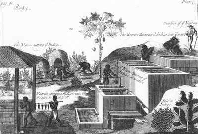 Köle emeğiyle indigo boya üretimi: Batı Hint Adaları veya Orta Amerika, 1725 by Unbekannt