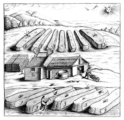 Gübre nitre, potasyum nitrat veya KN03 üretimi, 1683 by Unbekannt