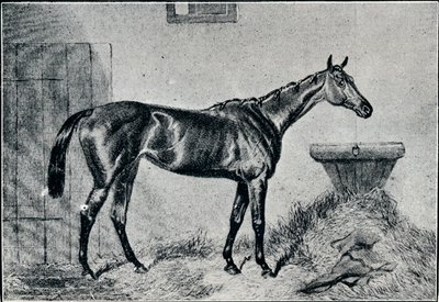 Kraliçe Bertha, 19. yüzyıl, 1911 by Unbekannt