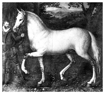 Kraliçe Elizabeth attır, 1896 by Unbekannt