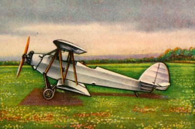 Raab-Katzenstein RK.9 Grasümcke uçağı, 1920