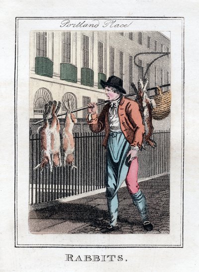 Tavşanlar, Portland Place, Londra, 1805 by Unbekannt