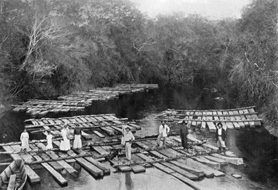 Tebicuary-mi Nehri üzerindeki sallar, Paraguay, 1911 by Unbekannt
