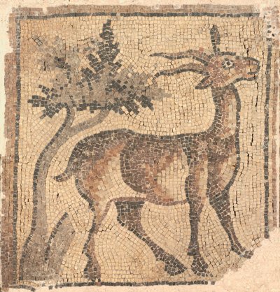 Bir Ağacın yanında Ram, 400