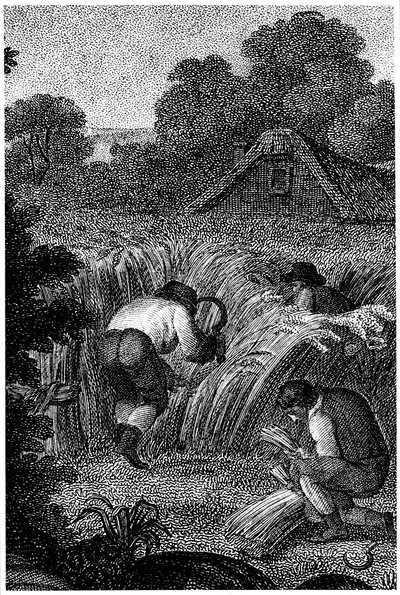 Oraklarla biçmek ve demetleri bağlamak, İngiltere, c1800 by Unbekannt