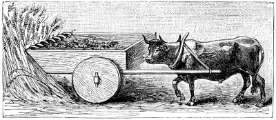 Pliny, c1890 tarafından tarif edildiği gibi, Antik Roma döneminde Galya